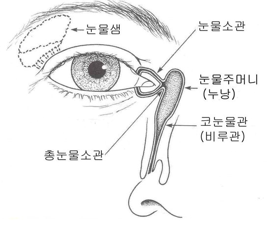 [건강]시도 때도 없이 주룩주룩 '눈물 흘림증'