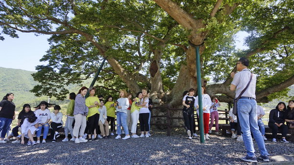 ▲ 명진리 느티나무 아래에 서 있는 경남미용고 학생들.