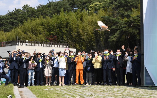 ▲ 28일 창녕군우포따오기복원센터에서 따오기 한 마리가 우포늪으로 날아가고 있다.   /김구연 기자 sajin@idomin.com
