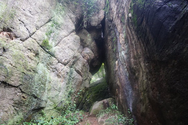 ▲ 비슬산 기슭에 있는 사효자굴(대구시 달성군 유가읍 양리 144). /김훤주 기자