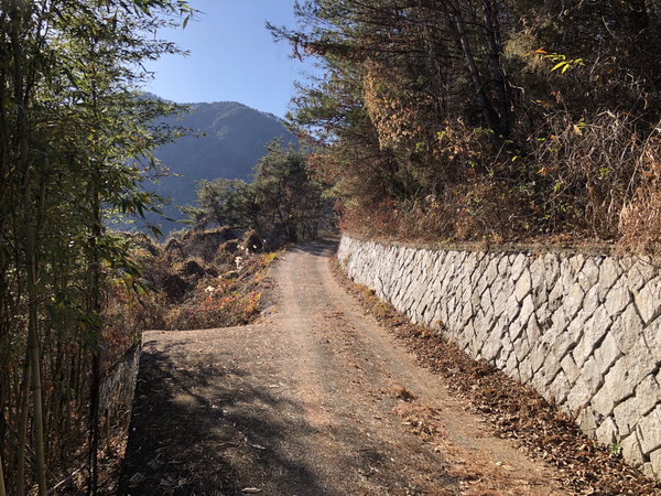 ▲ 대밭을 지나면 주위 풍경이 탁 트인다. 햇살이 와르르 쏟아져 눈을 가늘게 뜨고 걷게 된다.