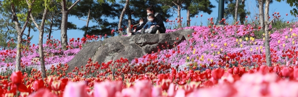 15일 경남 함양군 마천면 함양생태체험장을 찾은 아이들이 형형색색의 꽃을 피운 튤립을 바라보며 즐거운 한때를 보내고 있다. /함양군