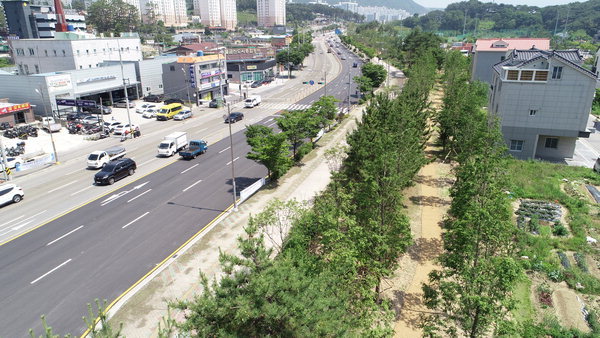 ▲ 양산시 도시 바람길 숲 1단계 사업으로 황산로 구간에 완충녹지가 조성됐다. /양산시