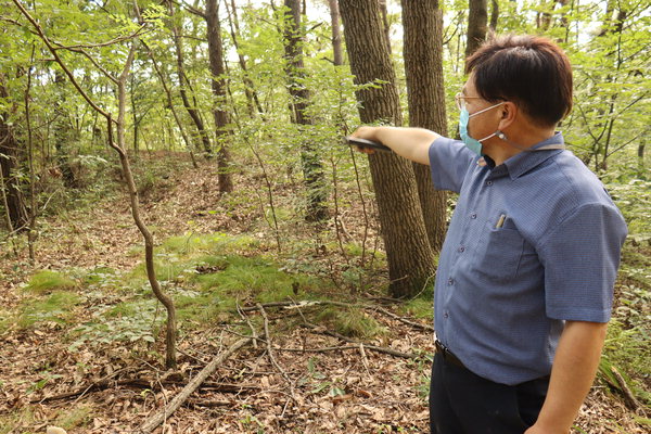 ▲ 구본용 거창박물관장이 무릉리고분군이 있는 쪽을 가리키고 있다.  /최석환 기자