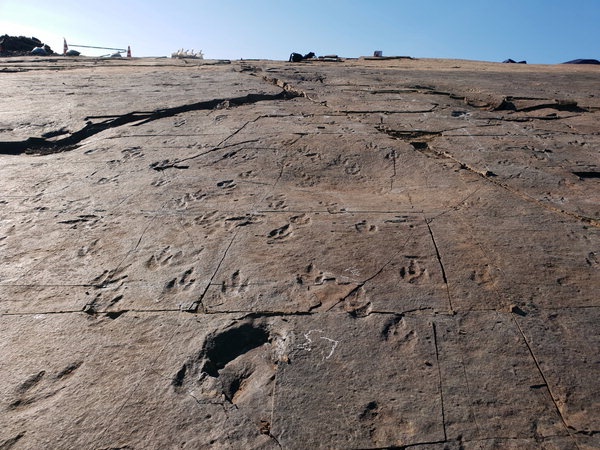 ▲ 천연기념물 제566호로 지정 확정된 진주 정촌면 백악기 공룡·익룡발자국 화석 산지. /진주시
