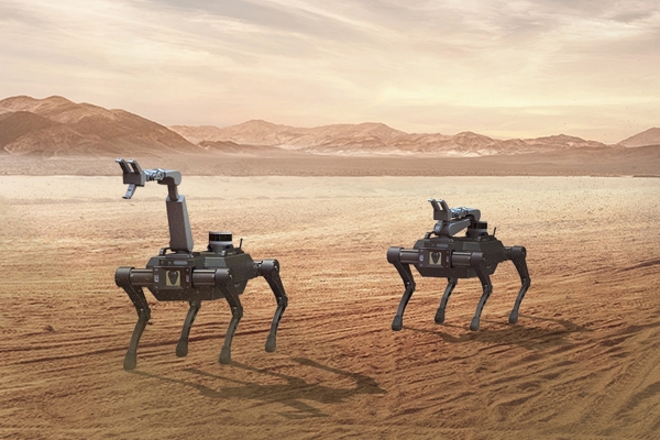현대로템이 2024년까지 개발하는 '군용 다족 보행 로봇' 모형도. /현대로템