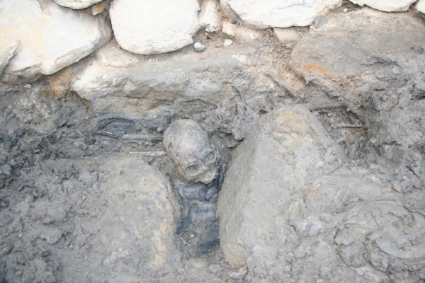 동래성 발굴 중 발견된 7년 전쟁 당시 유골. /경남문화재연구원
