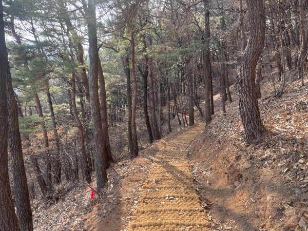반룡산 둘레길은 2019년 1차(3.5㎞)에 이어 2차(1㎞) 조성사업이 올해 3월 끝난다. /김해시