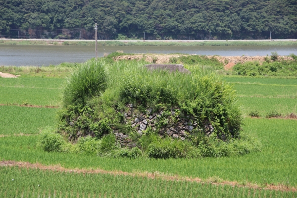마동호 주변 독특한 형태의 거산리지석묘. /이서후 기자