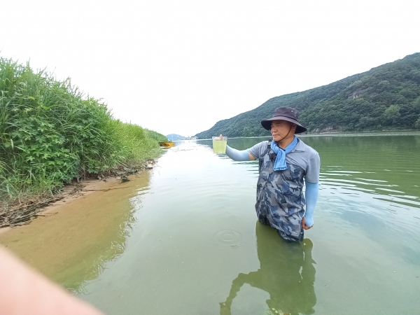 창녕군 이방면 우산리의 합천창녕보 상류에서 녹조로 오염된 낙동강물을 채수하고 있는 창녕환경운동연합 곽상수 의장. /이일균 기자
