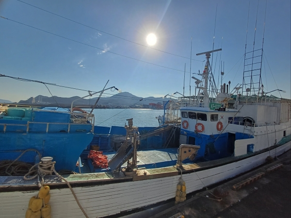 근해장어통발업계가 조업 축소를 자체 결의했다. 사진은 조업 중단으로 정박해 있는 통영 바다 장어 어선들. /근해통발수협