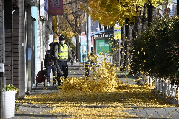7일 오전 환경미화원이 바람을 뿜어내는 장비를 이용해 낙엽 청소를 하고 있다. /김구연 기자<br>