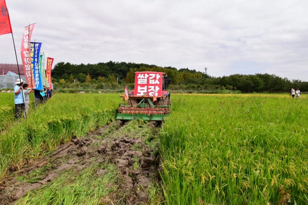 '쌀값 보장'이라는 구호를 내건 트랙터가 논을 갈아엎고 있다. /경남도민일보db