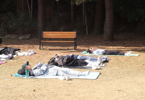 지난 17일 창원 가로수길 도민의 집 앞 소공원에서 열린 제1회 가로수길 가로눕기 대회 참가자들이 공원에 누워있다. /백솔빈 기자