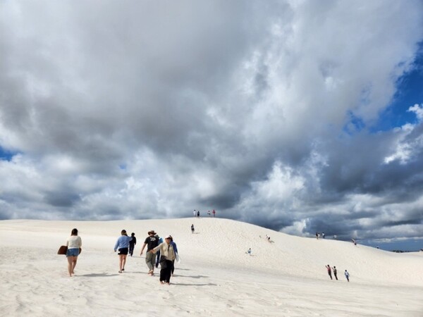 피나클스 투어의 하나로 유명한 란셀린의 모래 사막. /박미희