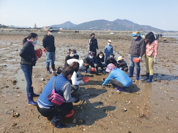 올해 해양수산부 어촌체험휴양마을로 선정된 남해군 고현면 이어마을에서 여행객들이 갯벌체험을 하고 있다. /남해군