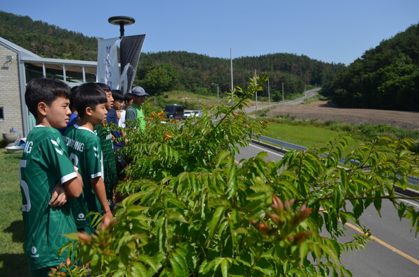 창녕 성산중학교 2학년 학생들이 모내기 체험에 앞서 우포늪 인근 정봉채갤러리에서 맞은편 논을 바라보고 있다. /이동욱 기자