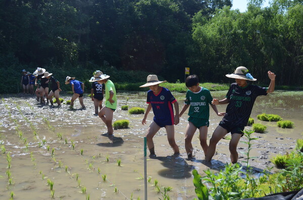 창녕 성산중학교 2학년 학생들이 우포늪 인근 정봉채갤러리 앞 논에서 모내기를 체험하고 있다. 진흙에 적응 중인 학생들. /이동욱 기자