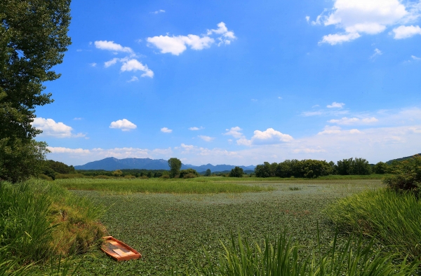창녕군 우포늪 전경. /창녕군