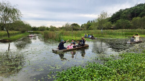 경남도람사르환경재단이 창녕 우포늪에서 진행한 생태관광 프로그램 '천지삐까리 여행' 중 참가자들이 쪽배타기 체험을 하고 있다. /람사르환경재단