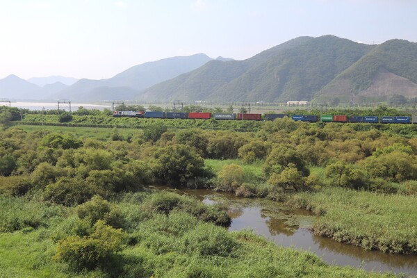 양산 원동습지 옆을 화물 기차가 지나고 있다. 철둑 너머는 낙동강이다. /이서후 기자 