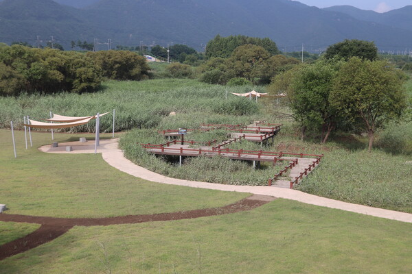  이달 초 개장한 양산 '원동습지 생태공원' 내 탐방시설. /이서후 기자 