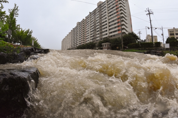 많은 비가 내린 2021년 7월 6일 창원시 창원천에 누런 황토물이 가득 흘러내리고 있다. /경남도민일보 DB