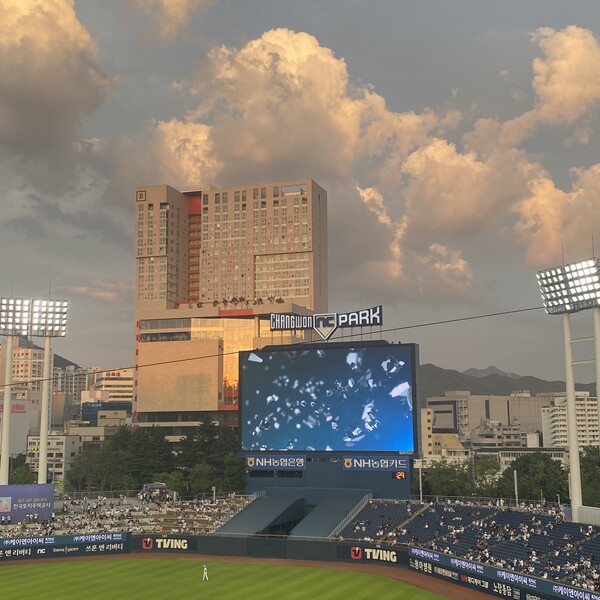 자신의 시간과 돈을 투자하는 건 아이돌 콘서트와 야구 관람이 비슷하지만 가성비는 야구장이 훨씬 뛰어나다. /정유정
