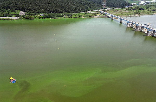 함안군 칠서면과 창녕군 남지읍 경계에 있는 창녕함안보 주변이 녹조로 물들었다. 녹조제거선이 강 한쪽에서 녹조 제거 작업을 하고 있다. /연합뉴스