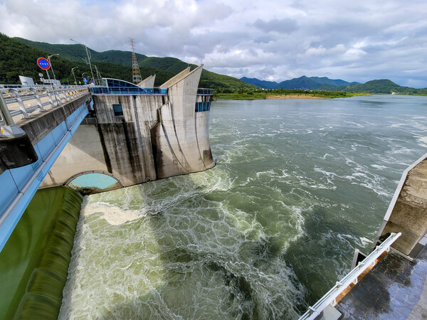 2024년 8월 21일 오후 낙동강 창녕함안보에 녹색물이 흘러내려 가고 있다. /김구연 기자