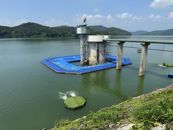 경남도는 5일 한국수자원공사 남강댐 물문화관 회의실에서 진양호 녹조 확산을 막고자 관계기관 회의를 열었다. 사진은 진주 진양호 취수장 취수탑 녹조 모습. /경남도