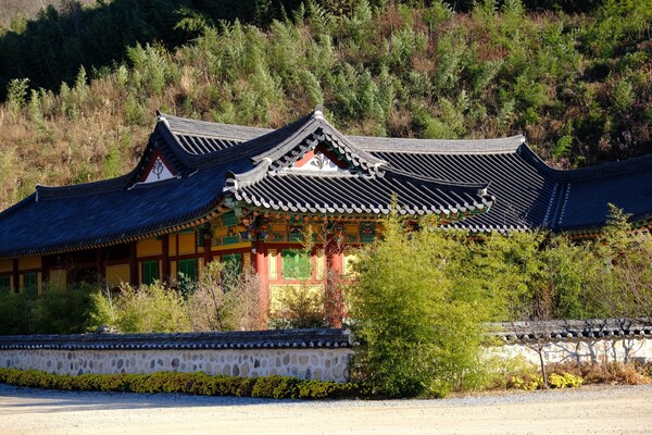 밀양 표충사. /정유정