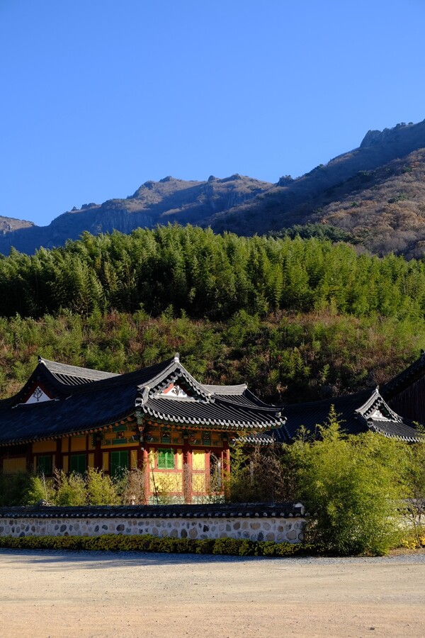 밀양 표충사. /정유정