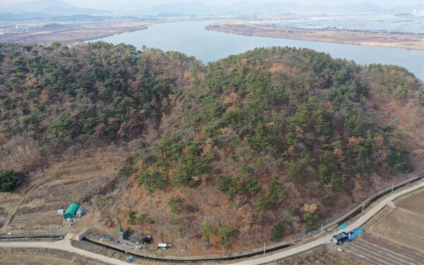 밀양시와 인접한 김해시 생림·한림·상동·대동면 4곳에 소나무재선충병 발생이 잦다. /김해시