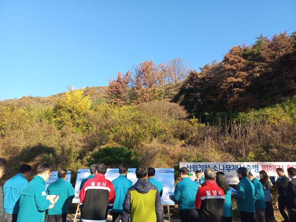 소나무재선충 피해가 극심한 밀양시 무안면 마흘리 가복마을 뒷산에서 19일 열린 산림청 주관 현장점검회의가 열렸다. /이일균 기자