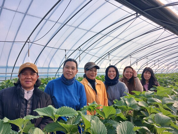 널린 발고스(오른쪽 둘째) 씨가 21일 통역을 담당하는 퍼난데스 제널린(맨 오른쪽) 씨와 함께 계절노동자들이 일하는 딸기하우스를 찾아 상담을 진행하고 있다. /김태섭 기자