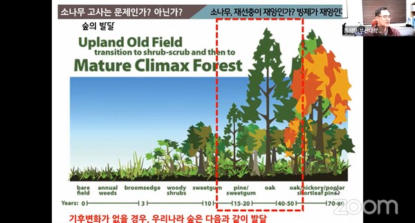홍석환 부산대 조경학과 교수가 지난 26일 오후 8시 기후 위기 시대, 소나무재선충을 주제로 '환경과 생명을 지키는 전국교사모임'가 마련한 온라인 특강에서 발언하고 있다. /갈무리