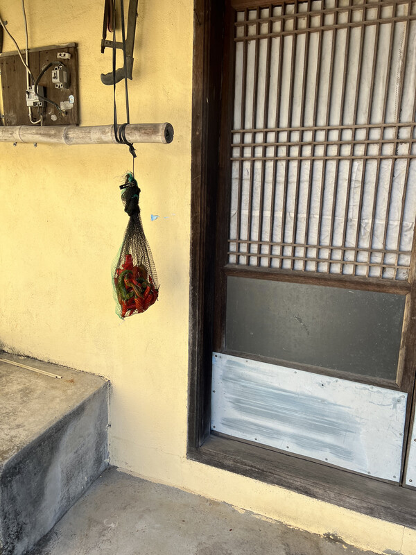 하동 할머니집 아래방. /김윤지