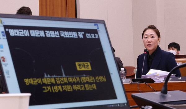 강혜경 씨가 지난해 10월 21일 국회에서 열린 법제사법위원회의 대검찰청 대상 국정감사에서 의원들 질의에 답하고 있는 모습. /연합뉴스
