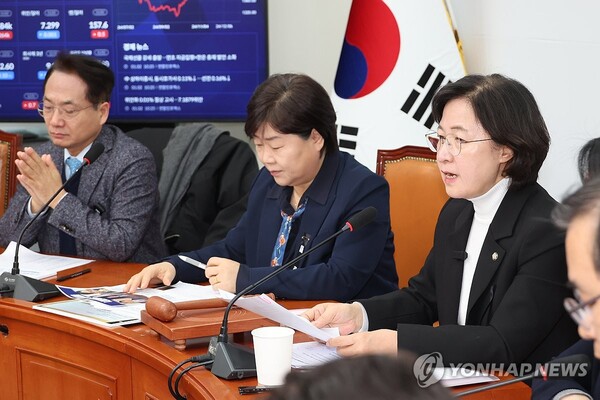 더불어민주당 내란진상조사단 회의. /연합뉴스