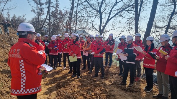 이미라 산림청 차장은 11일 오후 2시 김해시 한림면 금곡리(면적 38.8㏊) 소나무재선충병 수종전환방제 시범사업지를 찾아 김해시 방제전략 설명을 듣고 다양한 의견을 교환했다. /김해시