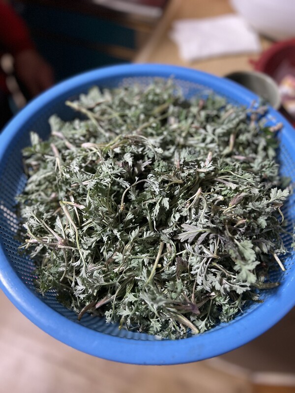 윤지 줄라고 캔 쑥.