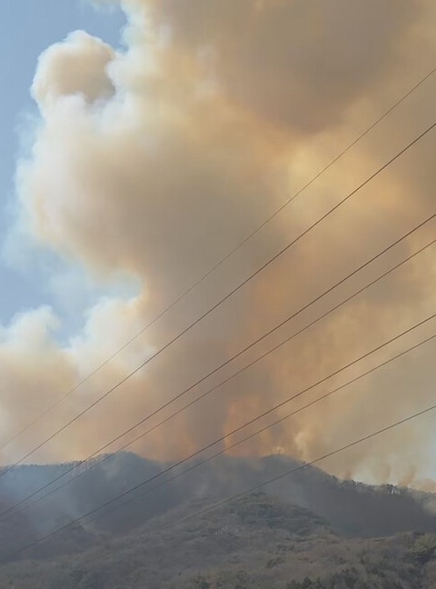 22일 김해시 한림면 안곡리 산에서 난 불로 연기가 자욱하다. /김해시