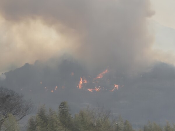 산청  시천면 산불 현장 모습. /김태섭 기자