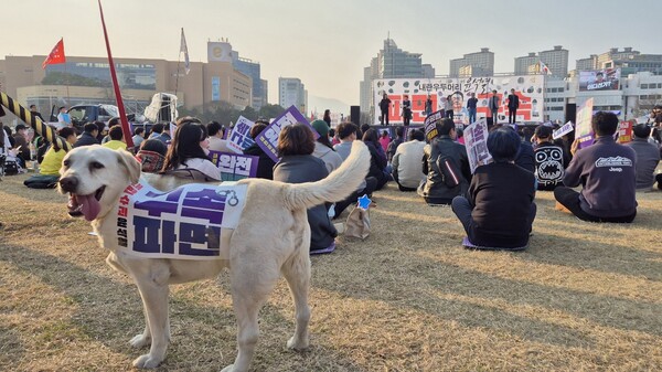 윤석열 대통령 탄핵 촉구 창원시민대회가 22일 오후 5시 창원시청광장에서 열렸다. /남석형 기자