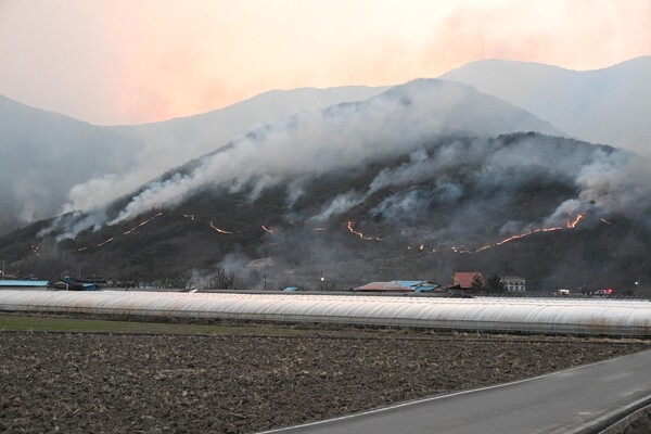 지난 21일  산청군 시천면 지리산에서 시작된 산불이 22일 오후 산청군 단성면 자양리와 하동군 옥종면 두양리 경계지점까지 번져 불타고 있다. 오후 6시 50분 마을 뒷산이 불타고 있다. /김구연 기자