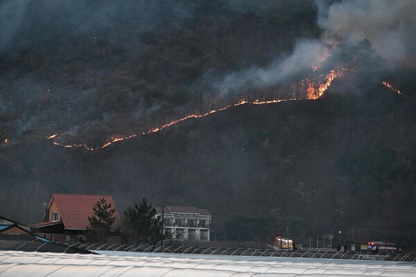 지난 21일  산청군 시천면 지리산에서 시작된 산불이 22일 오후 산청군 단성면 자양리와 하동군 옥종면 두양리 경계지점까지 번져 불타고 있다. 오후 6시 50분 마을 뒷산이 불타고 있다. /김구연 기자