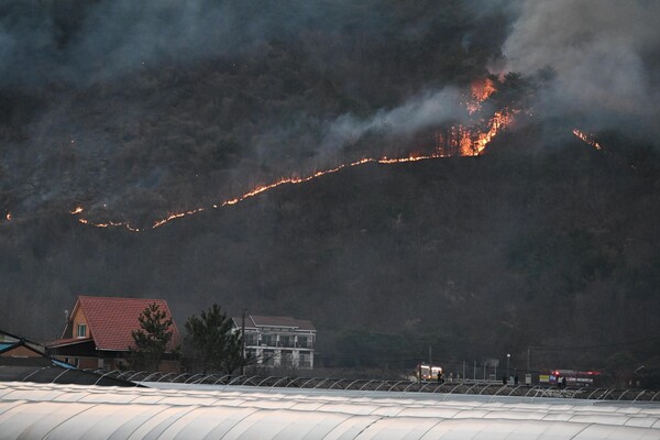 지난 21일  산청군 시천면 지리산에서 시작된 산불이 22일 오후 산청군 단성면 자양리와 하동군 옥종면 두양리 경계지점까지 번져 불타고 있다. 오후 6시 50분 마을 뒷산이 불타고 있다. /김구연 기자
