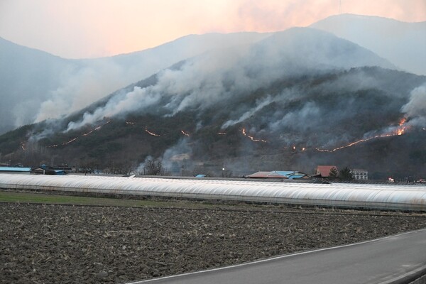지난 21일  산청군 시천면 지리산에서 시작된 산불이 22일 오후 산청군 단성면 자양리와 하동군 옥종면 두양리 경계지점까지 번져 불타고 있다. 오후 6시 50분 마을 뒷산이 불타고 있다. /김구연 기자