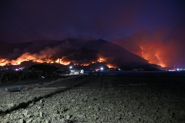 산청군 산불이 인가 뒷산까지 번져온 모습. /김구연 기자